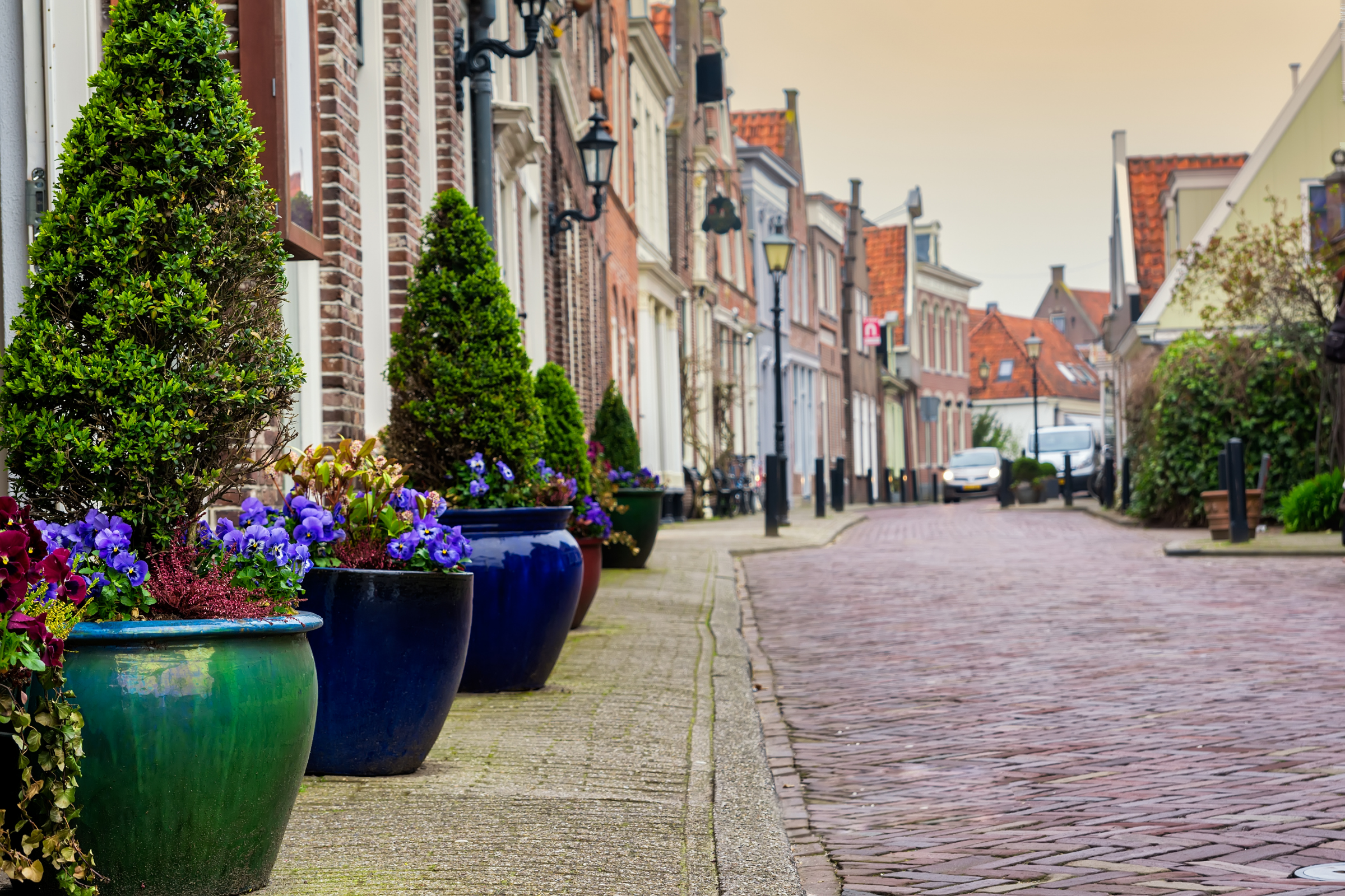 Edam 01.webp